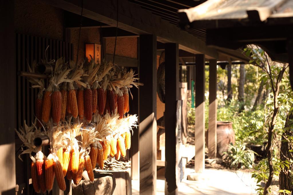 Kurokawa Onsen Oyado Noshiyu Hotel Minamioguni Exterior photo