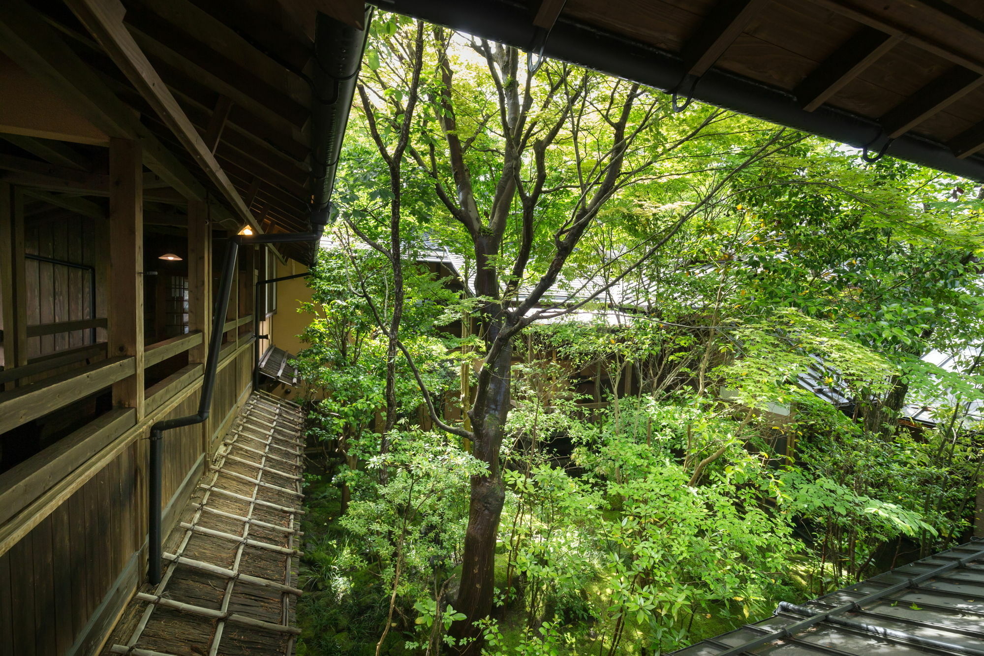 Kurokawa Onsen Oyado Noshiyu Hotel Minamioguni Exterior photo