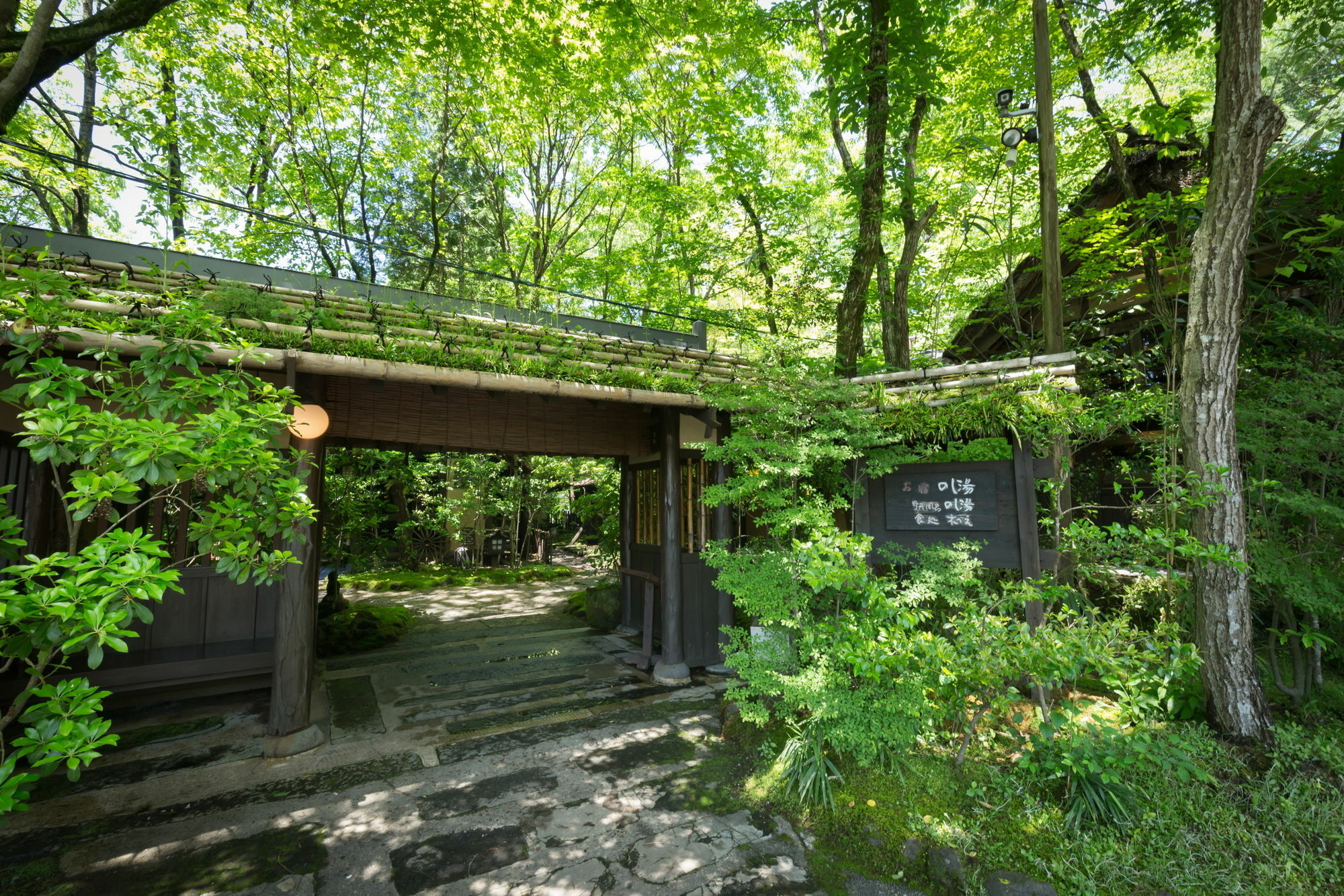 Kurokawa Onsen Oyado Noshiyu Hotel Minamioguni Exterior photo